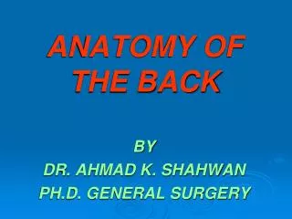 ANATOMY OF THE BACK