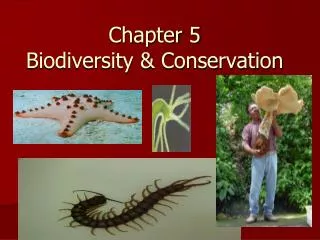 Chapter 5 Biodiversity &amp; Conservation