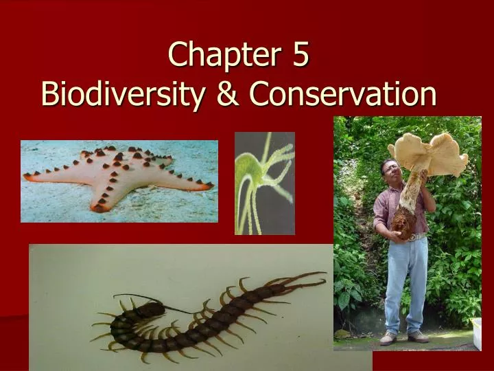 chapter 5 biodiversity conservation