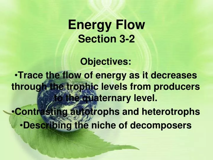 energy flow section 3 2