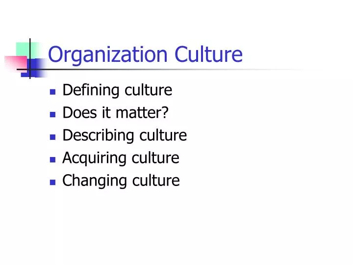 organization culture