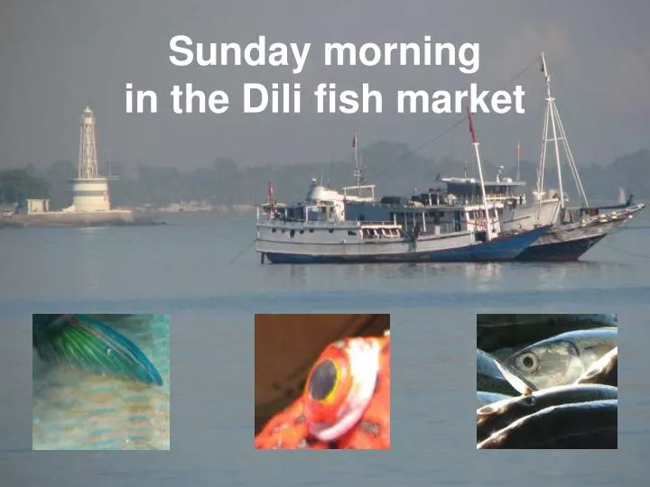 sunday morning in the dili fish market