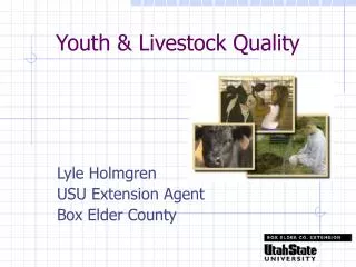 Youth &amp; Livestock Quality