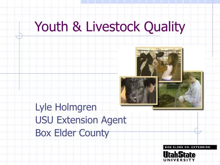 youth livestock quality