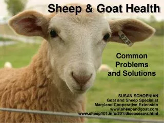Sheep &amp; Goat Health