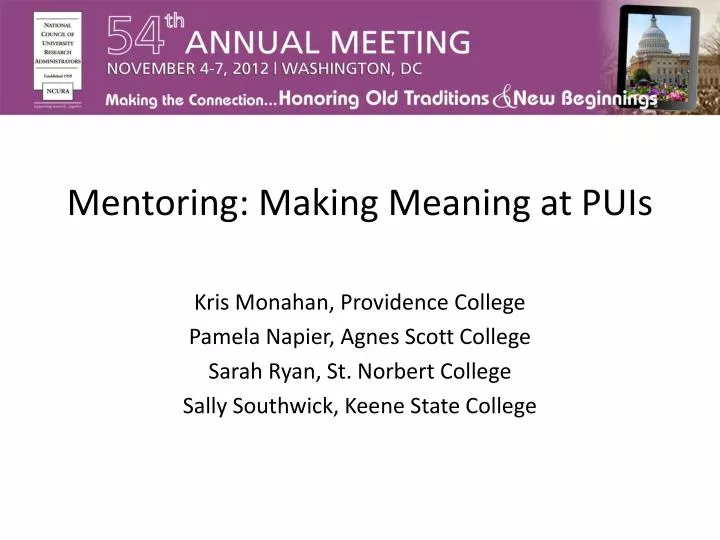 mentoring making meaning at puis
