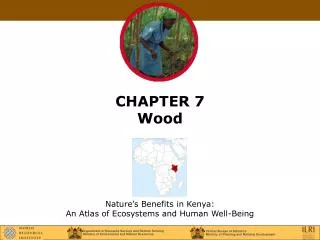 CHAPTER 7 Wood
