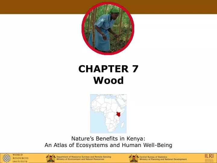 chapter 7 wood
