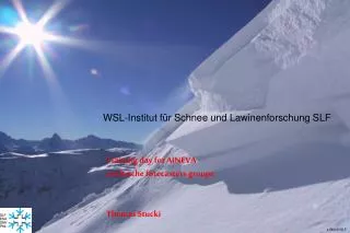 WSL-Institut für Schnee und Lawinenforschung SLF