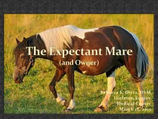 The Expectant Mare ( and Owner)
