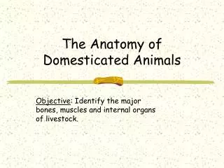 the anatomy of domesticated animals