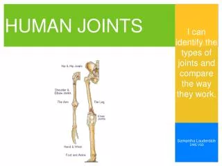 HUMAN JOINTS
