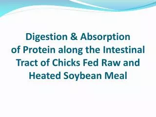 Digestion &amp; Absorption of Protein along the Intestinal Tract of Chicks Fed Raw and Heated Soybean Meal