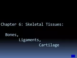 Chapter 6: Skeletal Tissues: Bones, Ligaments, Cartilage