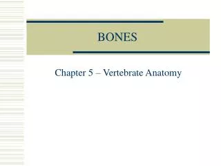 BONES