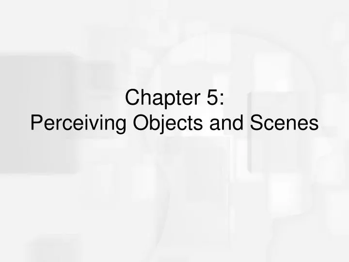 chapter 5 perceiving objects and scenes