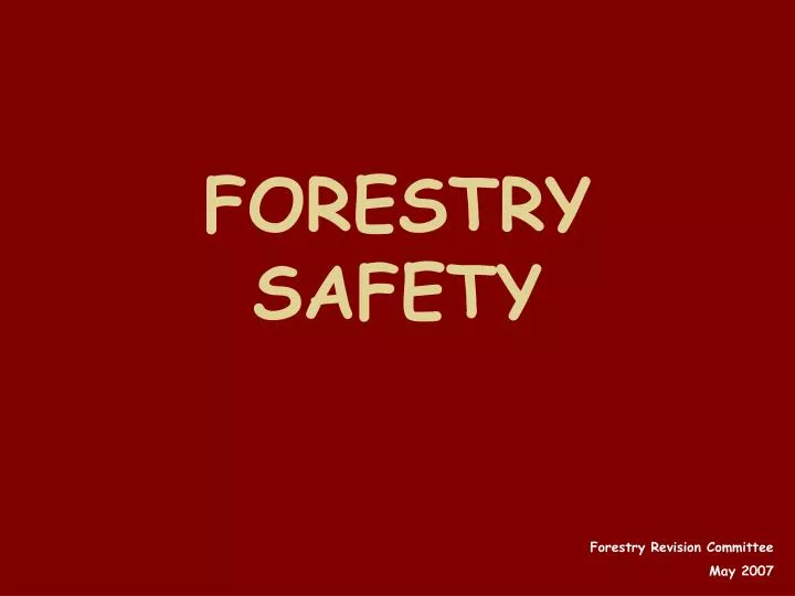 forestry safety