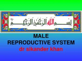 MALE REPRODUCTIVE SYSTEM dr sikander khan