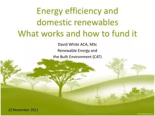 Energy efficiency and domestic renewables What works and how to fund it