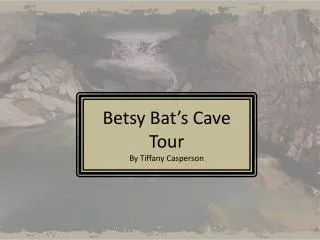 Betsy Bat’s Cave Tour By Tiffany Casperson