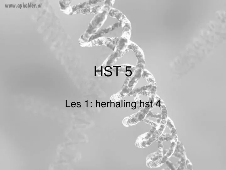 hst 5