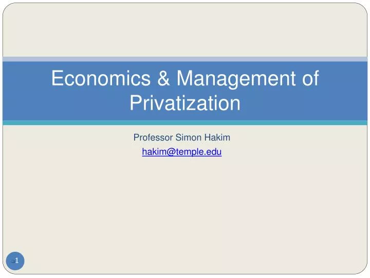 economics management of privatization