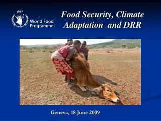 Food Security, Climate Adaptation and DRR