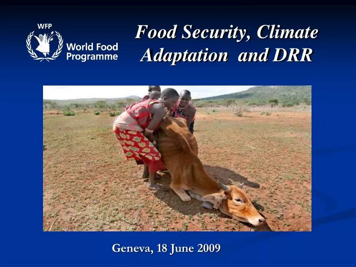 food security climate adaptation and drr