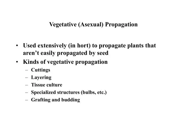 vegetative asexual propagation