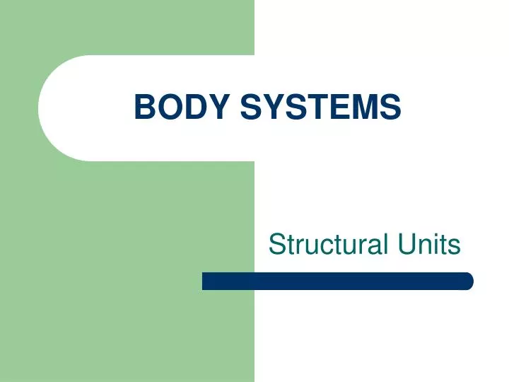 body systems