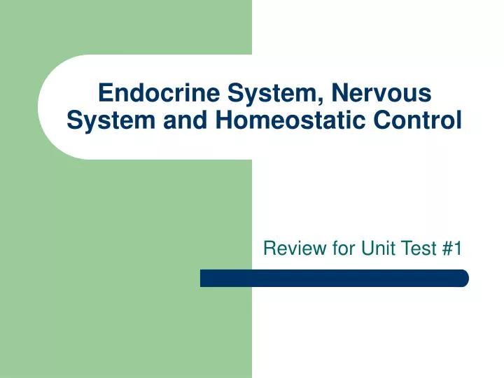 endocrine system nervous system and homeostatic control