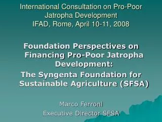 International Consultation on Pro-Poor Jatropha Development IFAD, Rome, April 10-11, 2008