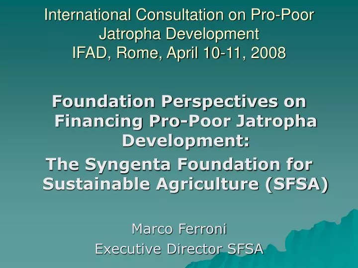 international consultation on pro poor jatropha development ifad rome april 10 11 2008