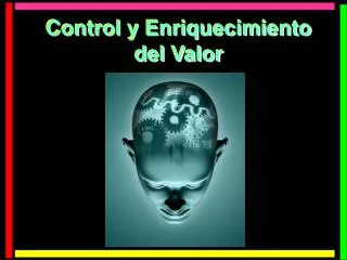 control y enriquecimiento del valor