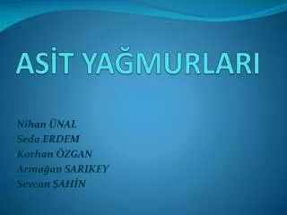 as t ya murlari