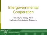 Promoting Effective Intergovernmental Cooperation in Local Services - slide 1