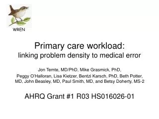 Primary care workload: linking problem density to medical error