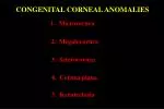 1. Microcornea - slide 1