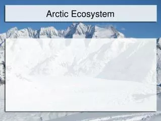 Arctic Ecosystem