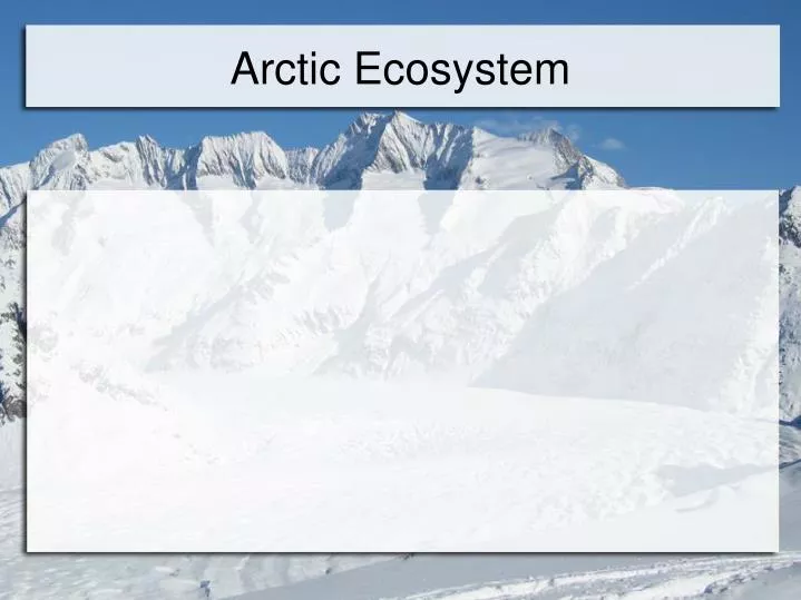 arctic ecosystem