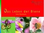 Titel - slide 1