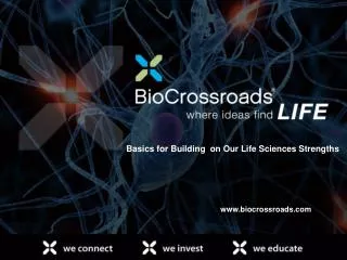 www.biocrossroads.com