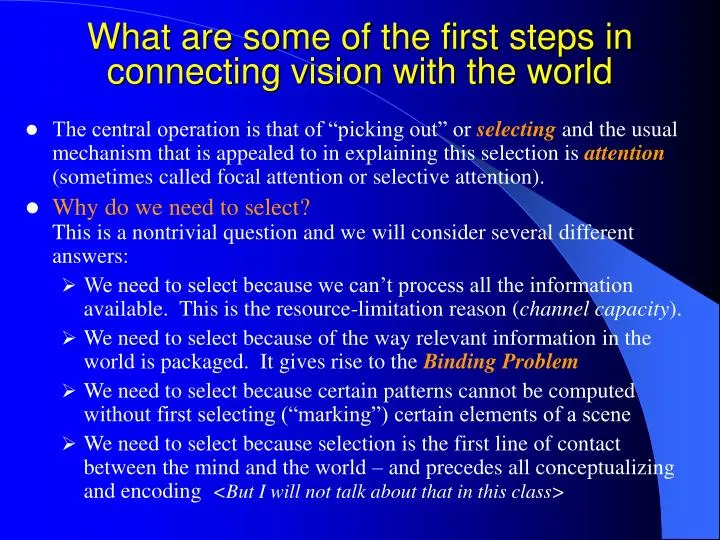 what are some of the first steps in connecting vision with the world