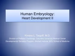 Human Embryology: Heart Development II