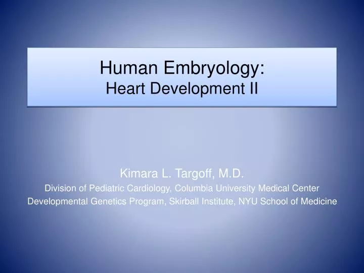 human embryology heart development ii