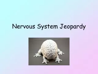 Nervous System Jeopardy