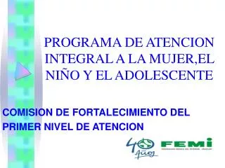 PROGRAMA DE ATENCION INTEGRAL A LA MUJER,EL NIÑO Y EL ADOLESCENTE