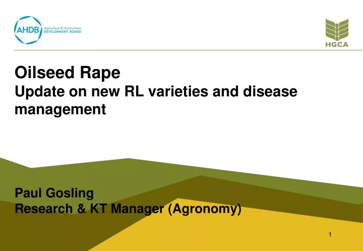 oilseed rape update on new rl varieties and disease management