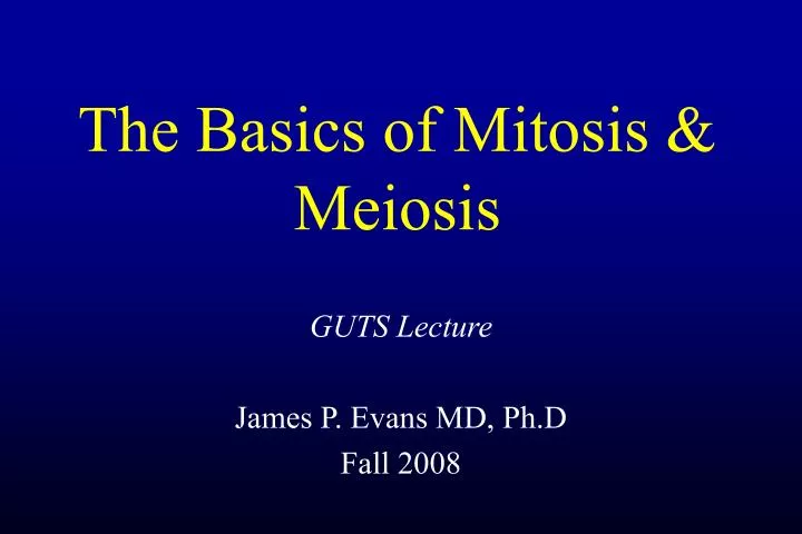 the basics of mitosis meiosis