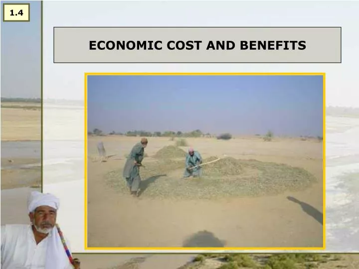 economic cost and benefits